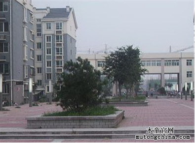 1555047334266409.png 圖片7.png